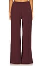 view 3 of 4 Hugo Pant in Raisin