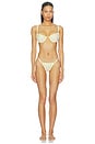 view 4 of 4 PANTY TANGA AMELIA  in Limoncello