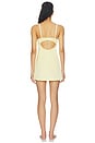 view 4 of 4 Amelia Slip Dress in Limoncello