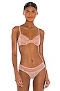 view 1 of 4 SOUTIEN-GORGE PRIMROSE in Blush