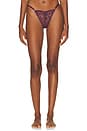view 1 of 4 PANTY TANGA NICOLETTE in Raisin