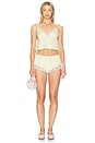 view 4 of 4 Arabella Camisole in Limoncello