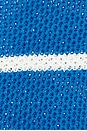 view 5 of 5 BLUSA PÓLO FJORD in Royal Blue & White