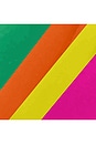 view 5 of 6 Neoprene Bottle Protectors Expanded Set in Brights