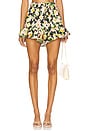 view 1 of 6 Frida Short in Blush Daffodil