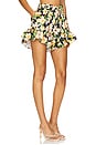 view 2 of 6 Frida Short in Blush Daffodil