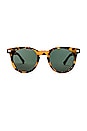 view 1 of 3 Wilderness B Sunglasses in Crazy Tort