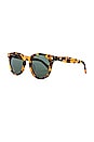 view 2 of 3 Wilderness B Sunglasses in Crazy Tort