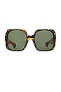 view 1 of 3 GAFAS DE SOL BLOOM DOOM in Crazy Tort & Grass Mono