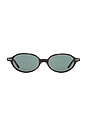 view 1 of 1 Noor Sunglasses in Green Tortoise
