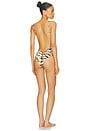 view 4 of 4 Tiger Swimsuit in Multi