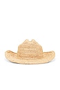 view 3 of 3 Raffia Cowboy Hat in Natural