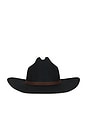 view 2 of 3 Wilder Cowboy Hat in Black