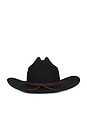 view 3 of 3 Wilder Cowboy Hat in Black