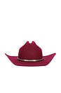 view 2 of 4 The Ridge Special Cowboy Hat in Merlot