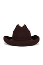view 1 of 3 Blaze Cowboy Hat in Fig