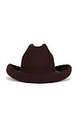 view 2 of 3 Blaze Cowboy Hat in Fig