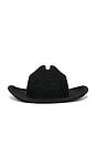 view 1 of 3 Raffia Cowboy Hat in Noir
