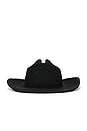 view 2 of 3 Raffia Cowboy Hat in Noir