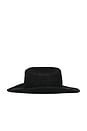 view 3 of 3 Raffia Cowboy Hat in Noir