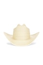 view 1 of 2 Wylie Cowboy Hat in Cream