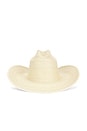 view 2 of 2 Wylie Cowboy Hat in Cream
