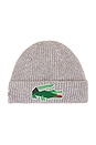 view 1 of 2 Beanie in Silver Chine