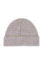 view 2 of 2 Beanie in Silver Chine