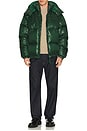view 3 of 5 Nylon Shiney Puffer Jacket in Green
