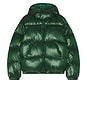 view 4 of 5 Nylon Shiney Puffer Jacket in Green