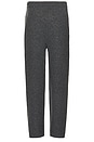 view 2 of 4 PANTALÓN DEPORTIVO in Grey