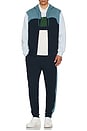 view 6 of 6 Franchise Jogger in Navy Blue & Limestone