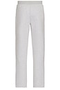 view 2 of 5 Sport Breathable Track Pant in Silver Chine