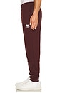 view 6 of 6 Tapered Fit Sweatpants in Espresso