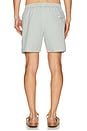 view 2 of 5 Mid Length Striped Textured Swim Trunks in White & Vert