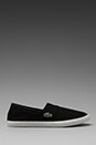 view 2 of 5 Clemente Shoe in Black