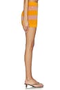 view 3 of 6 Resille Raye Shorts in Blossom & Miami