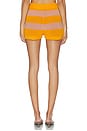 view 4 of 6 Resille Raye Shorts in Blossom & Miami