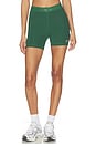 view 1 of 6 Fitness & Training Biker Shorts in Green