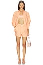 view 6 of 7 Oversized Fit Toile Shorts in Miami & Blossom