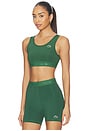 view 2 of 5 Fitness & Training Sports Bra in Green