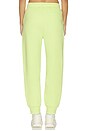 view 4 of 6 Double Face Jogger in Sencha