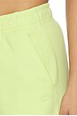 view 6 of 6 Double Face Jogger in Sencha