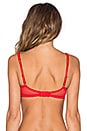 view 3 of 4 Rosalyn Quarter Cup Bra in Red & Red