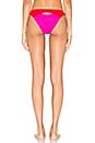 view 3 of 4 Alenya Bikini Bottom in Pink Red & Black