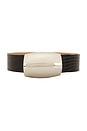 view 4 of 3 CEINTURE MILOU in Black Lizard Embossed
