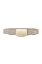view 1 of 3 Milou Domed Embossed Belt in Ivory Croc