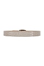 view 2 of 3 Milou Domed Embossed Belt in Ivory Croc