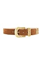 view 1 of 3 Otera Wide Leather Belt in Cognac Suede