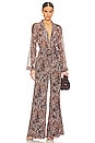 view 1 of 3 Echo Jumpsuit in Brown Multi Neutral Paisley